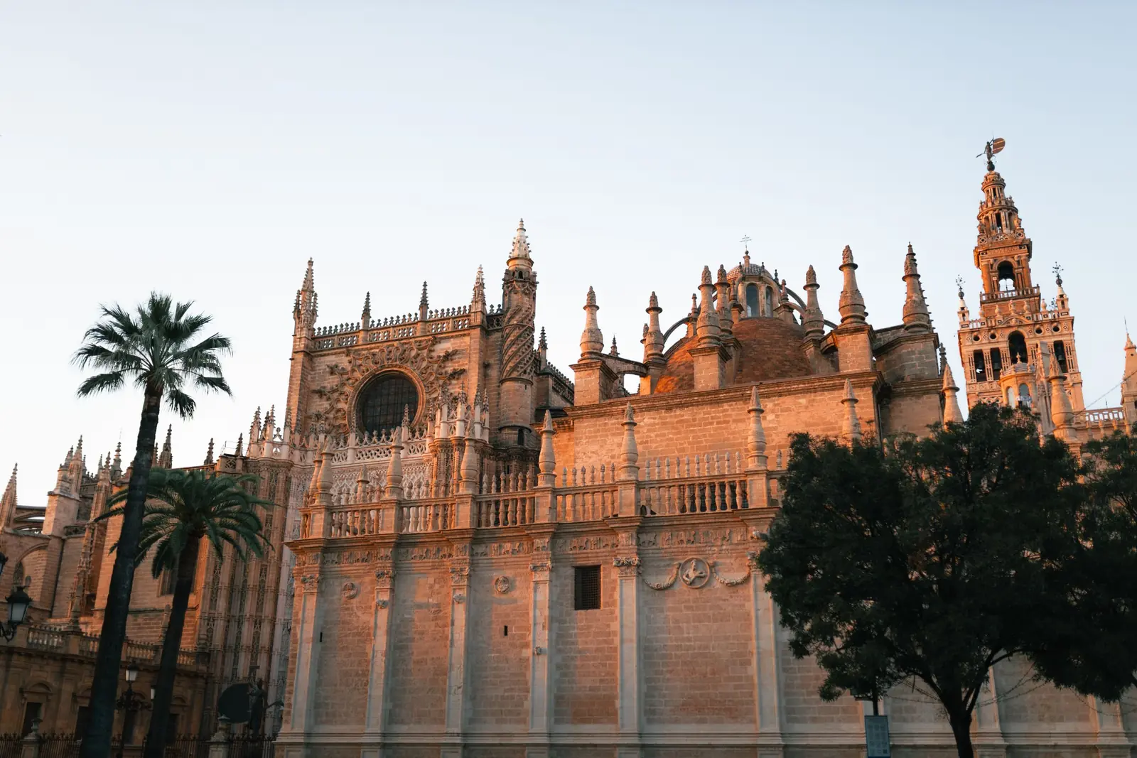 The Gothic walls and the Giralda tower of Seville Cathedral glowing orange in low evening light, with palm trees in front
