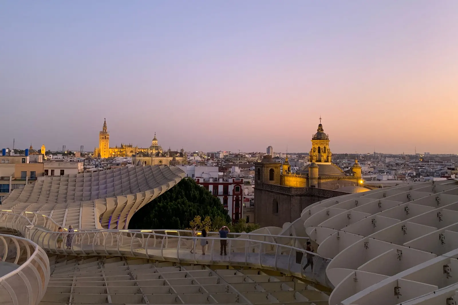 The curving white walkways of the Setas de Sevilla at dusk, with the Giralda and the Cathedral lit gold on the skyline