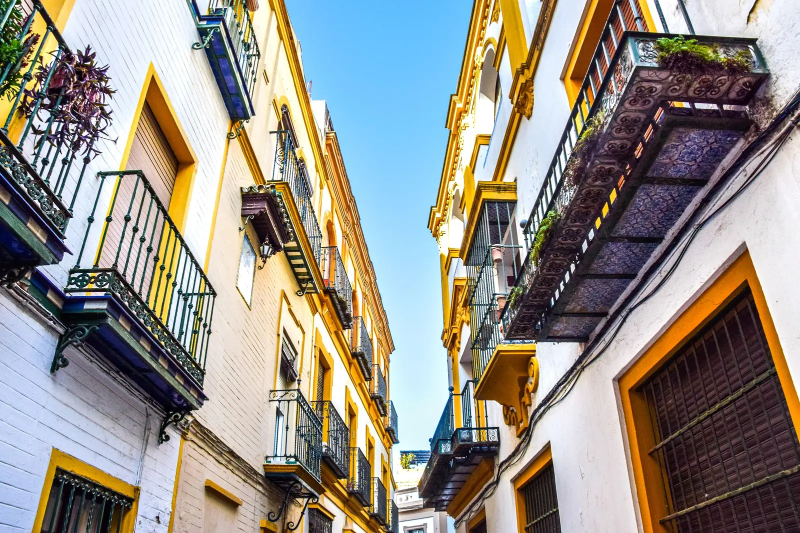 A narrow street in Seville seen from below, with yellow-trimmed white houses, iron balconies and tiled balcony floors against a blue sky